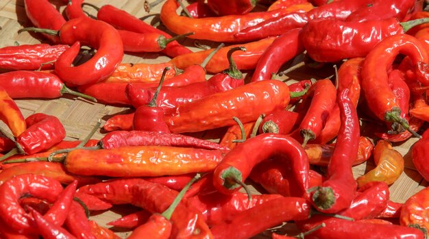 Une photo complète des piments rouges.