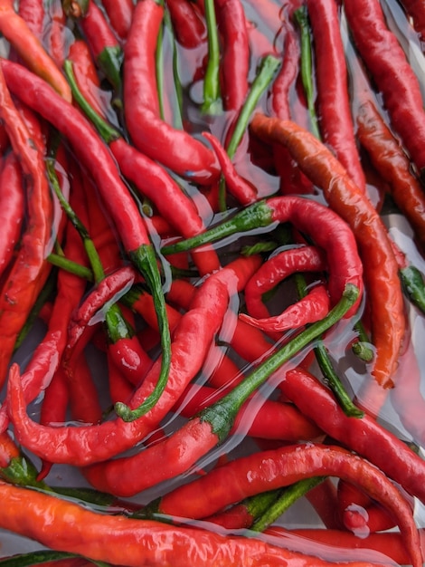 Photo une photo complète des piments rouges.