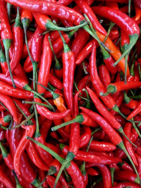 Une photo complète des piments rouges.