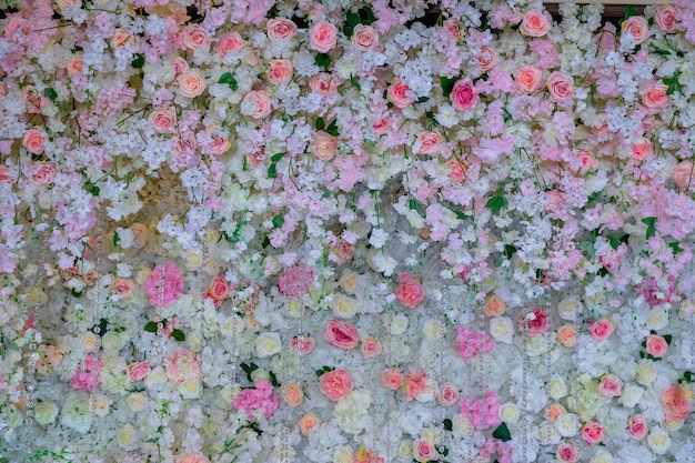 Photo une photo complète de plantes à fleurs roses