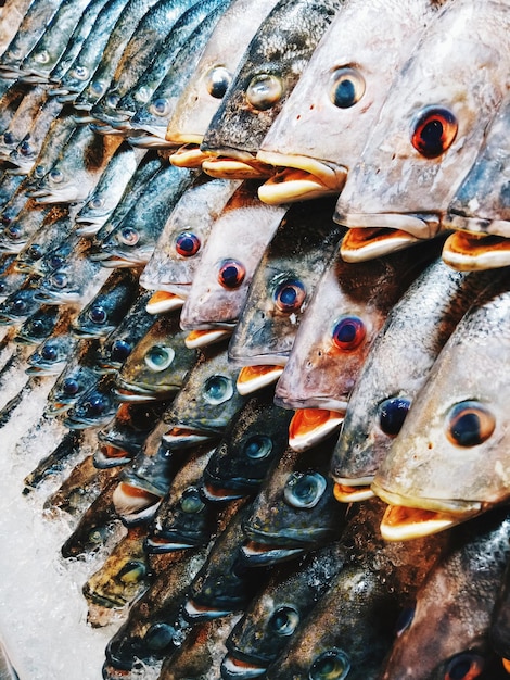 Une photo complète de poissons morts à vendre au marché.