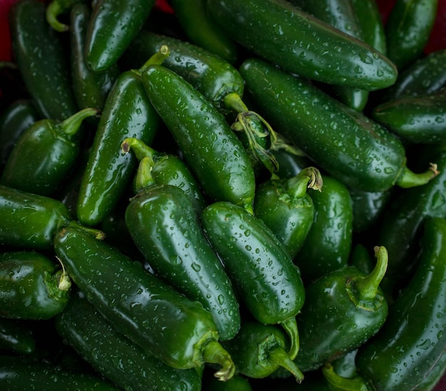 Une photo complète de poivrons au chili verts mouillés