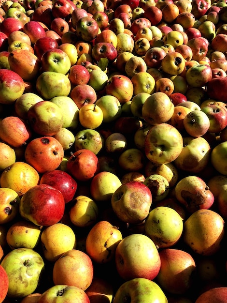 Une photo complète de pommes.