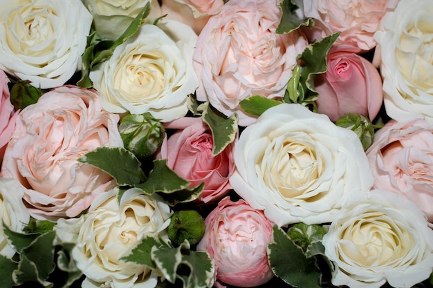 Une photo complète de roses à vendre au marché