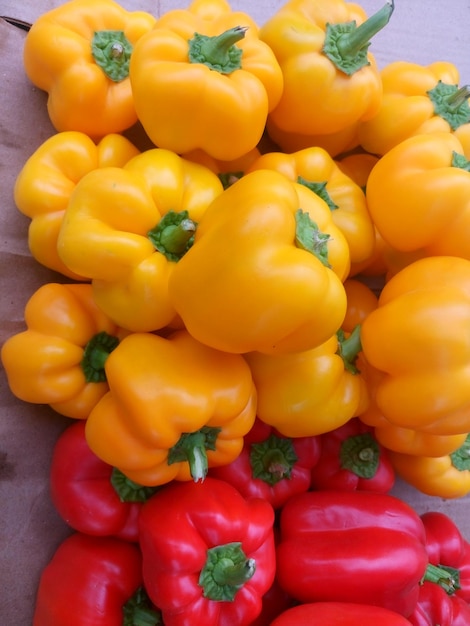 Photo une photo complète de tomates jaunes.