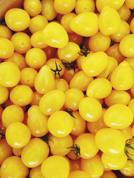 Photo une photo complète de tomates jaunes.