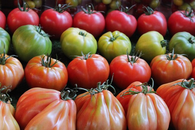 Photo une photo complète de tomates.