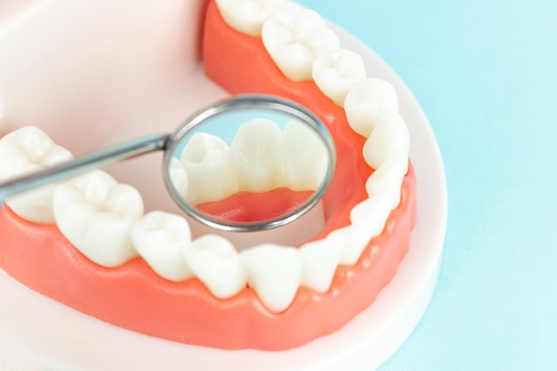 Photo conceptuelle de dentisterie Gros plan plateau de dent individuel Thème dentaire orthodontique Photo conceptuelle de dentisterie Dentisterie prothétique Fausses dents Dent fictive ou modèle de dent