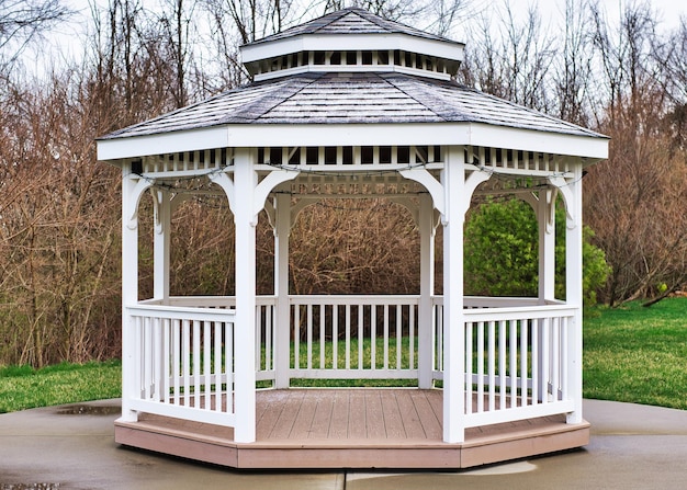 Photo de la construction d'un gazebo dans un jardin domestique