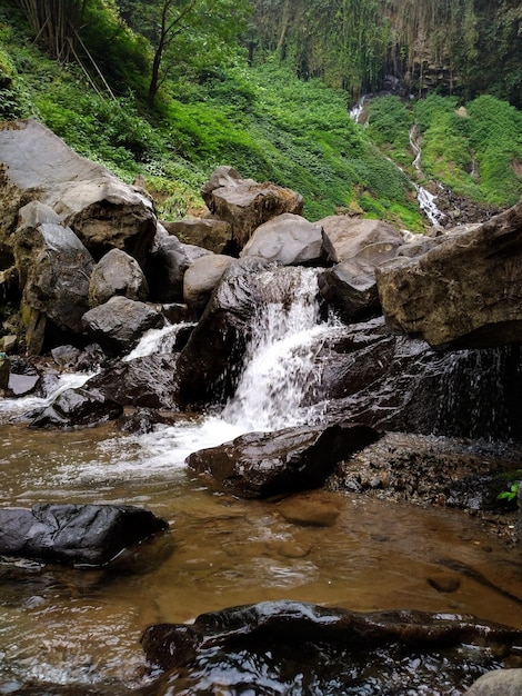 photo en contre-plongée d'une petite cascade