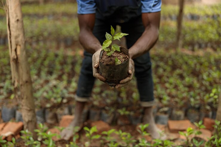 Photo coupée d'un ouvrier agricole afro-américain plantant des graines de café dans la région du Rwanda