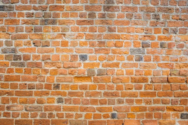 Une photo détaillée d'un mur de briques
