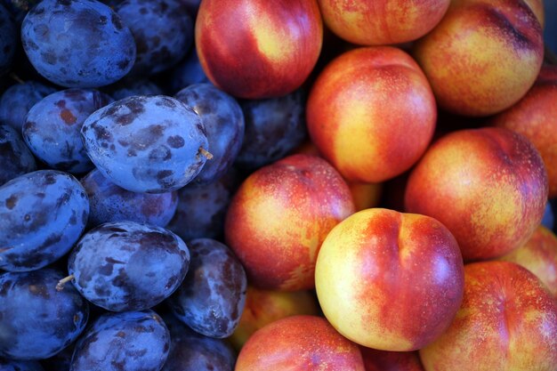 Une photo détaillée de prunes et de pêches