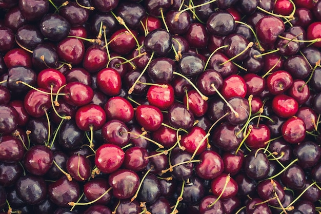 Une photo détaillée des prunes