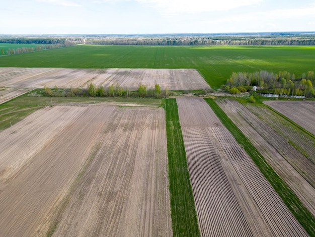 Photo de drone d'un champ labouré Vue aérienne d'un terrain d'agriculteur Vue d'en haut d'un domaine agricole avec différentes cultures céréalières qui crée une image abstraite de lignes droites multicolores