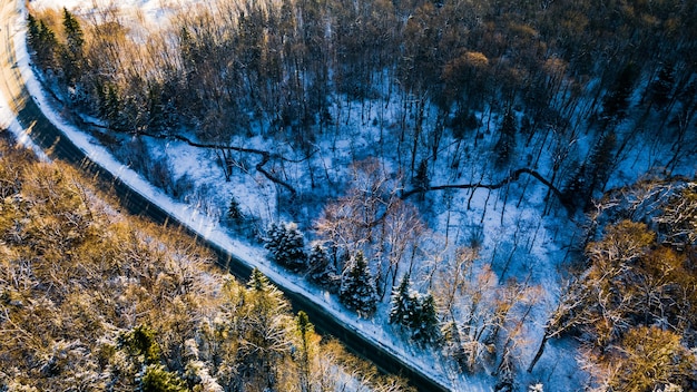 Photo de drone du virage de la route menant à travers les forêts et les bosquets d'hiver givrés