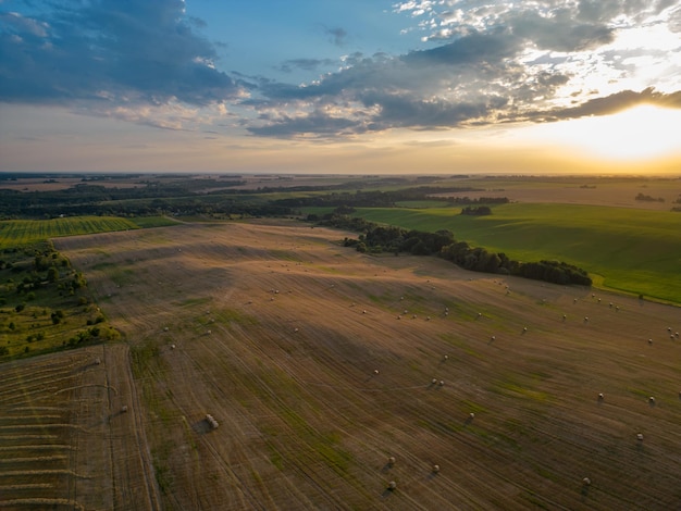 Photo une photo de drone d'un jeune champ de blé vert au coucher du soleil vue aérienne d'un champ d'agriculteurs des motifs abstraits et des lignes droites sur les terres agricoles