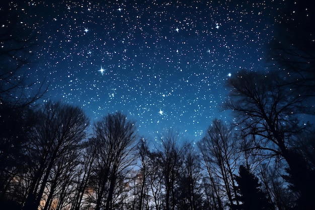 Photo du ciel nocturne avec des étoiles brillantes et des constellations