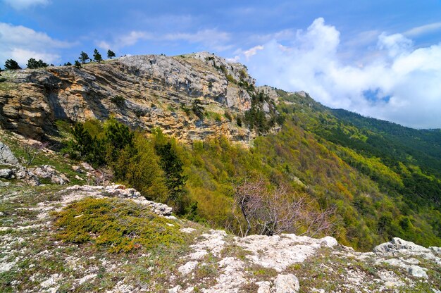 Photo du haut de la montagne, bel horizon