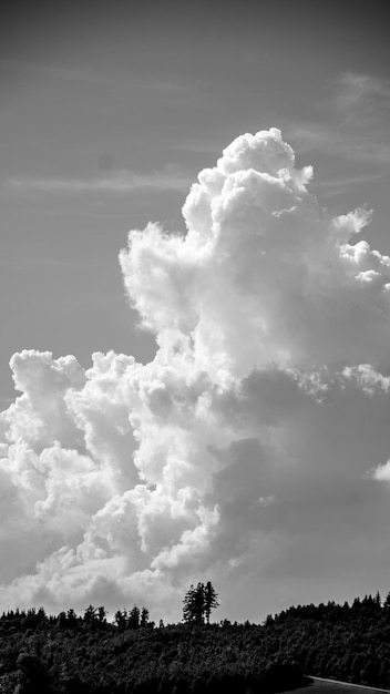 La photo du nuage