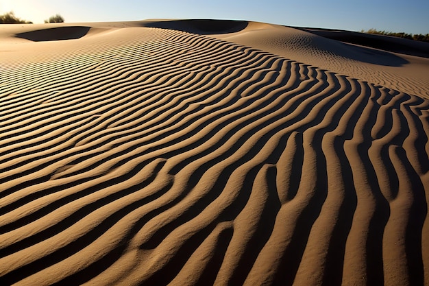 Une photo des dunes ensoleillées du désert avec des ombres ludiques