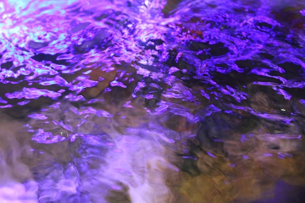 Photo d'eau d'aquarium violet d'en haut