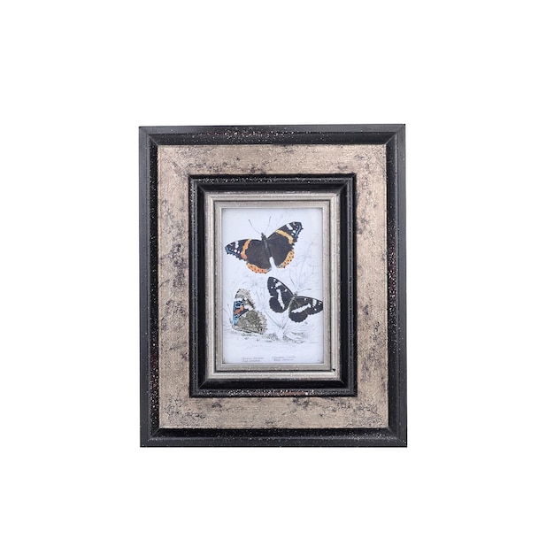 Une photo encadrée de papillons sur fond blanc.