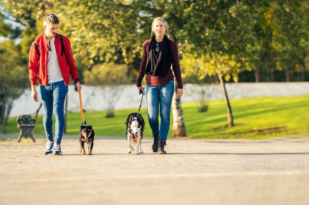 Photo avec espace de copie d'un couple promenant des chiens dans un parc