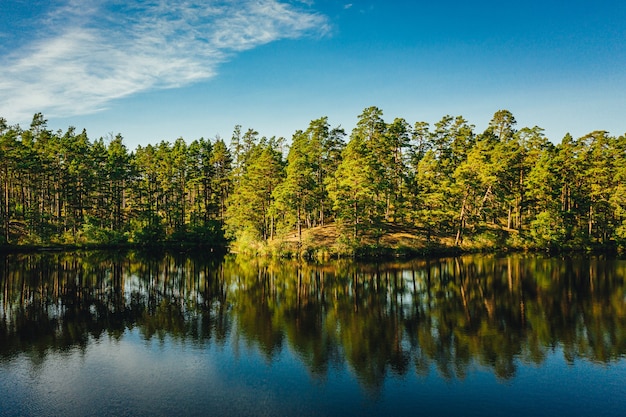 Photo fascinante d'un lac calme entouré d'arbres