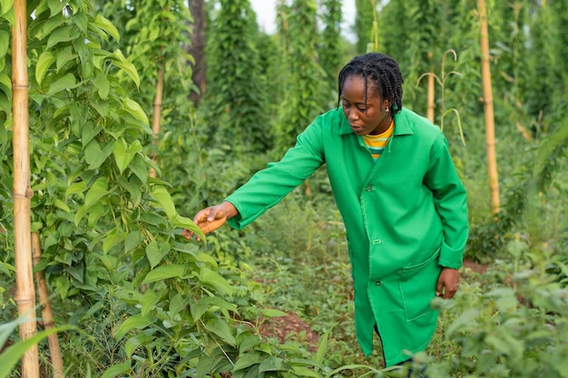 Photo photo d'une femme africaine travaillant dans une ferme au nigeria