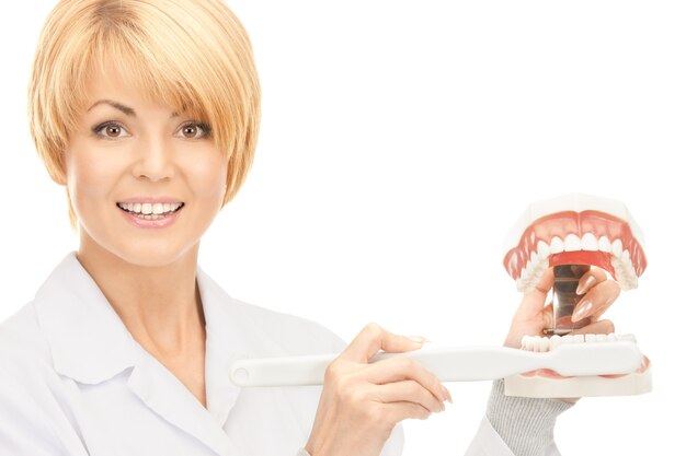 photo d'une femme médecin séduisante avec une brosse à dents et des mâchoires