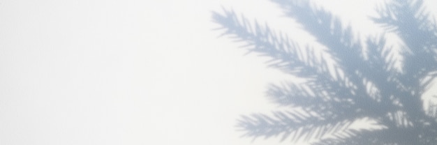 Photo floue d'une ombre d'une branche d'arbre de Noël sur un fond gris blanc d'un mur ou d'une table. bannière