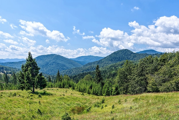 Photo de la forêt verte et des sommets dans les montagnes de Brasov le matin, Roumanie