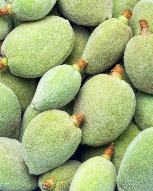 Photo la photo en gros plan d'amandes