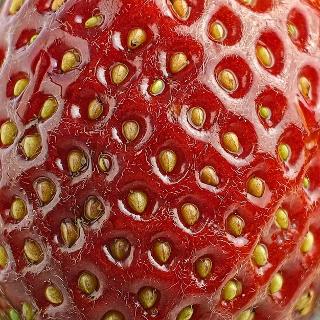 Photo en gros plan extrême de la peau d'une fraise Fond de texture naturelle