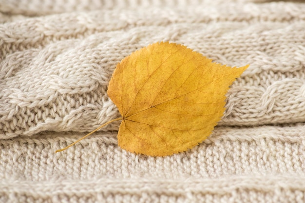 Photo en gros plan d'une feuille d'automne jaune et d'un tricot beige avec motif