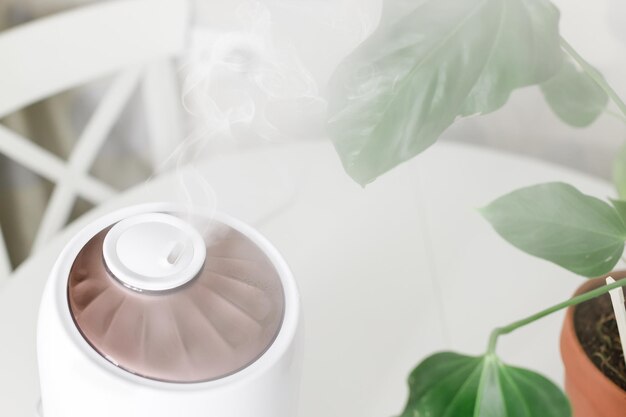 Photo en gros plan d'un humidificateur d'air blanc diffusant de la vapeur Humidification de l'air sec Mise au point sélective sur la vapeur Plante d'intérieur en arrière-plan en pot Vie quotidienne confortable Concept de pureté de l'air et de soins de santé