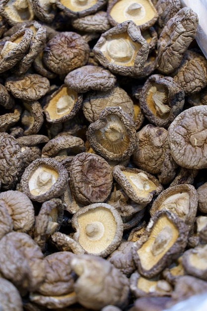 Photo de haute qualité de fond de nourriture de champignons shiitake séchés