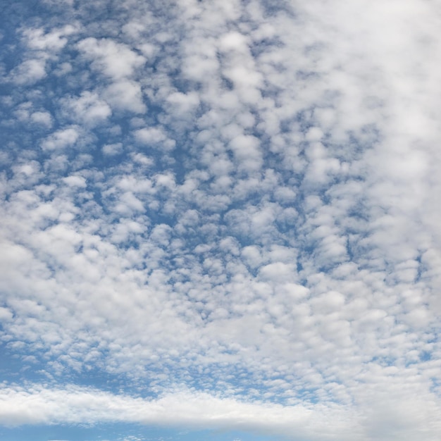 Photo haute résolution du ciel avec des nuages duveteux ( altocumulus - cirrocumulus / mackerel skies ).