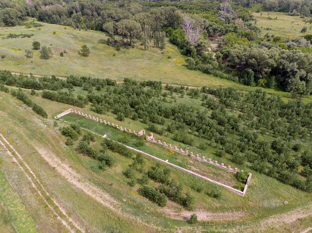 Photo de l'hélicoptère. Un paysage agricole pittoresque de plusieurs rangées d'arbustes verts et de nombreux arbres. Il y a une cloison en brique au centre. Zone agronomique rurale.