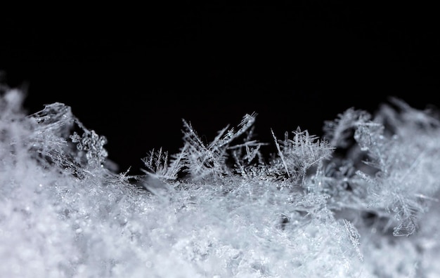 photo d'hiver de flocons de neige dans la neige