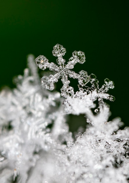 photo d'hiver de flocons de neige dans la neige