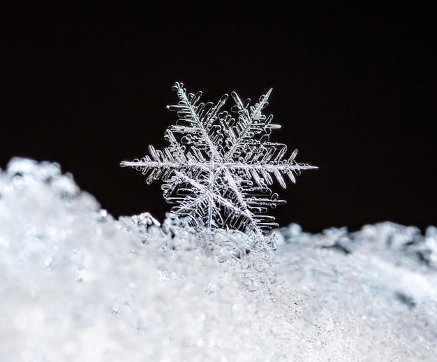 photo d'hiver de flocons de neige dans la neige