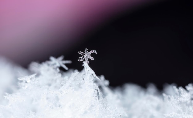 photo d'hiver de flocons de neige dans la neige