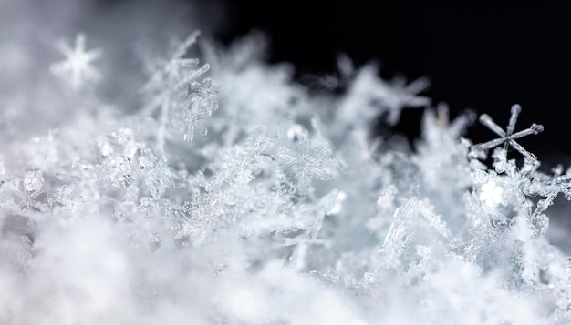 photo d'hiver de flocons de neige dans la neige