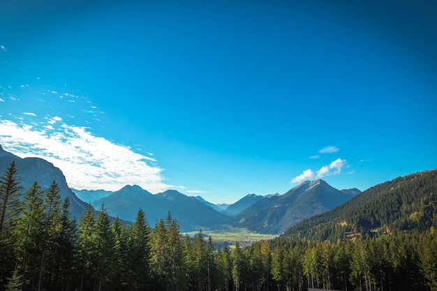 Une photo idyllique du paysage contre le ciel bleu