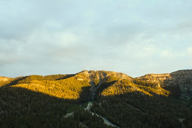 Photo une photo idyllique d'un paysage vert contre le ciel