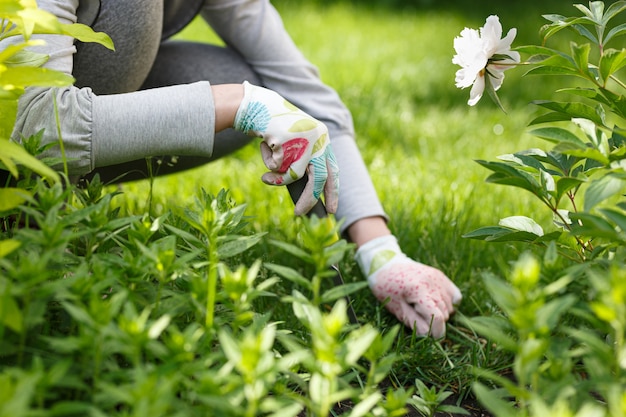 Photo d'un jardinier enlevant les mauvaises herbes du sol.