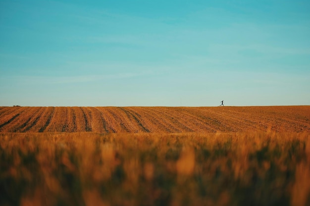 Une photo lointaine d'un homme qui court sur le terrain contre le ciel.