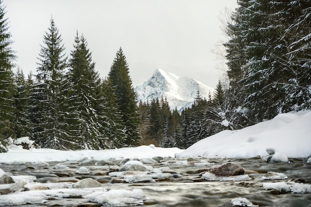 Photo longue exposition - rivière d'hiver, eau coulant sur des rochers recouverts de neige, arbres des deux côtés, pic du mont Krivan - symbole slovaque - à distance. Vysoke Tatry, Slovaquie.